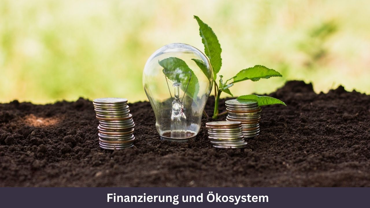 Finanzierung und Ökosystem