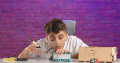 Minecraft als Bildungswerkzeug