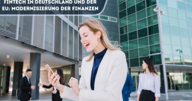 Fintech in Deutschland und der EU