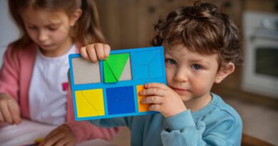 Logik- und Problemlösungsspiele für Kinder