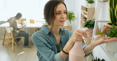 umweltfreundliche Haushaltsprodukte