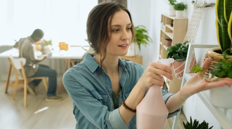 umweltfreundliche Haushaltsprodukte