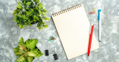 KI-Tools für Skripte