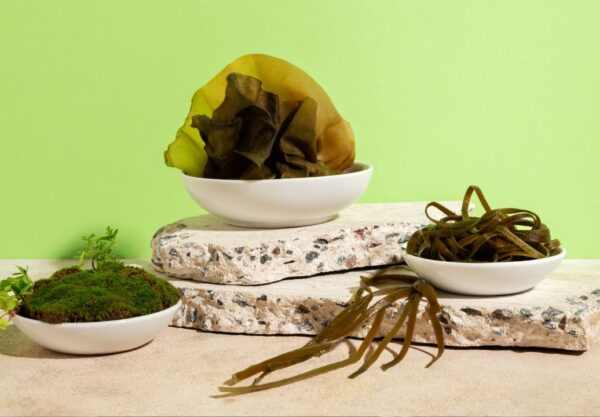 Nachhaltige Materialien der Zukunft