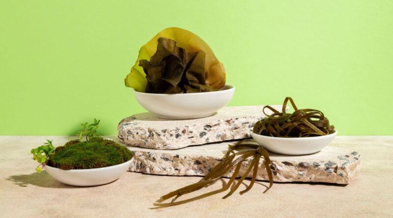 Nachhaltige Materialien der Zukunft