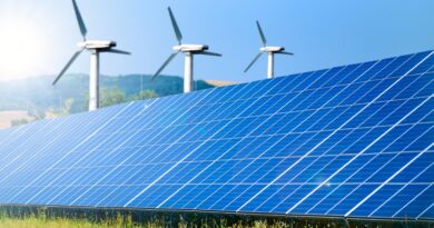 Erneuerbare Energien fürs Eigenheim in Deutschland