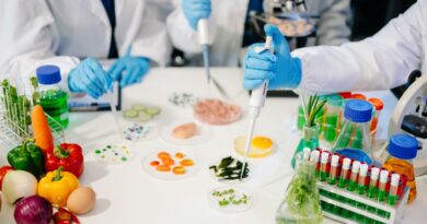 Grüne Materialwissenschaft Deutschland