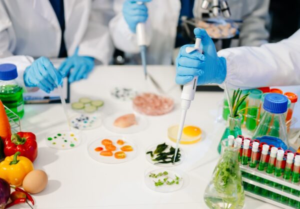 Grüne Materialwissenschaft Deutschland