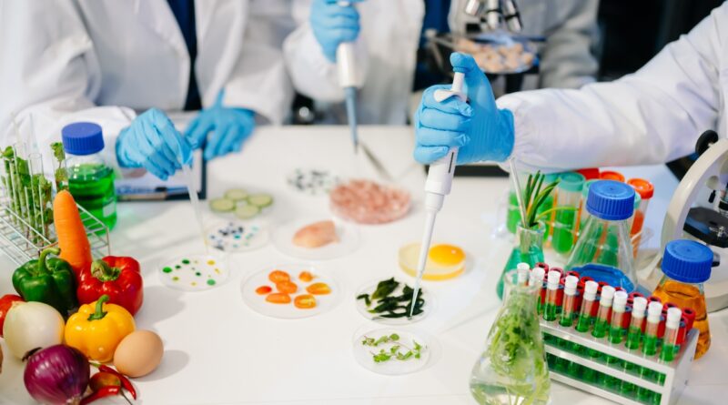 Grüne Materialwissenschaft Deutschland