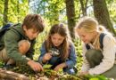Umweltbewusstsein Spiele für Kinder